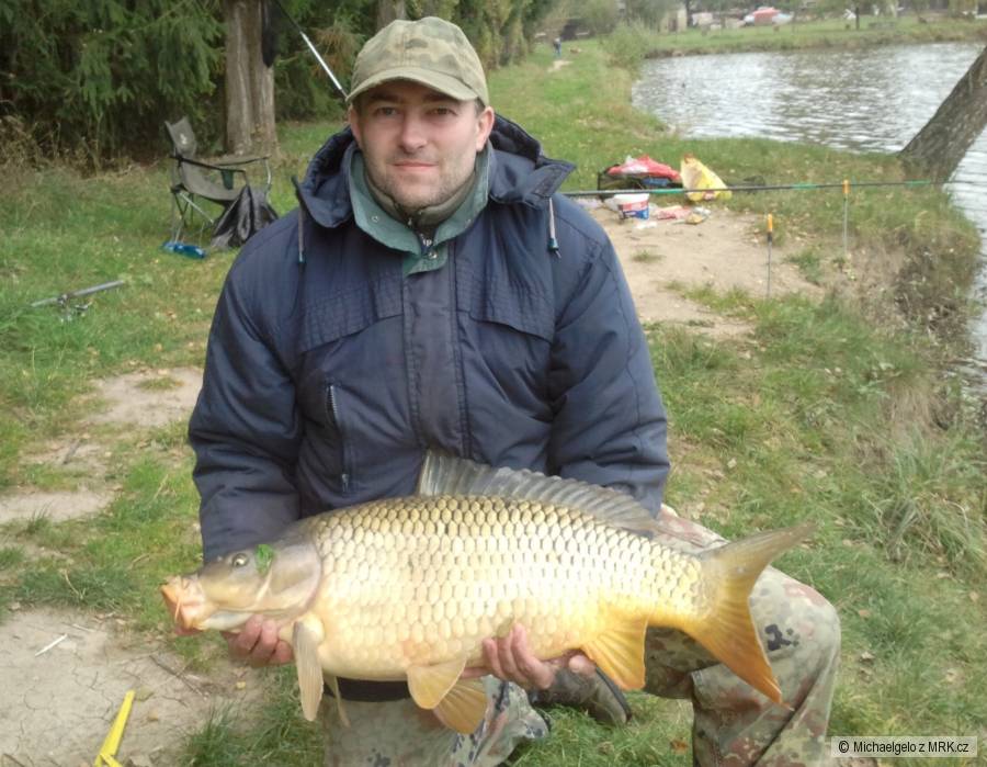 Kapr 82cm, váha 12kg