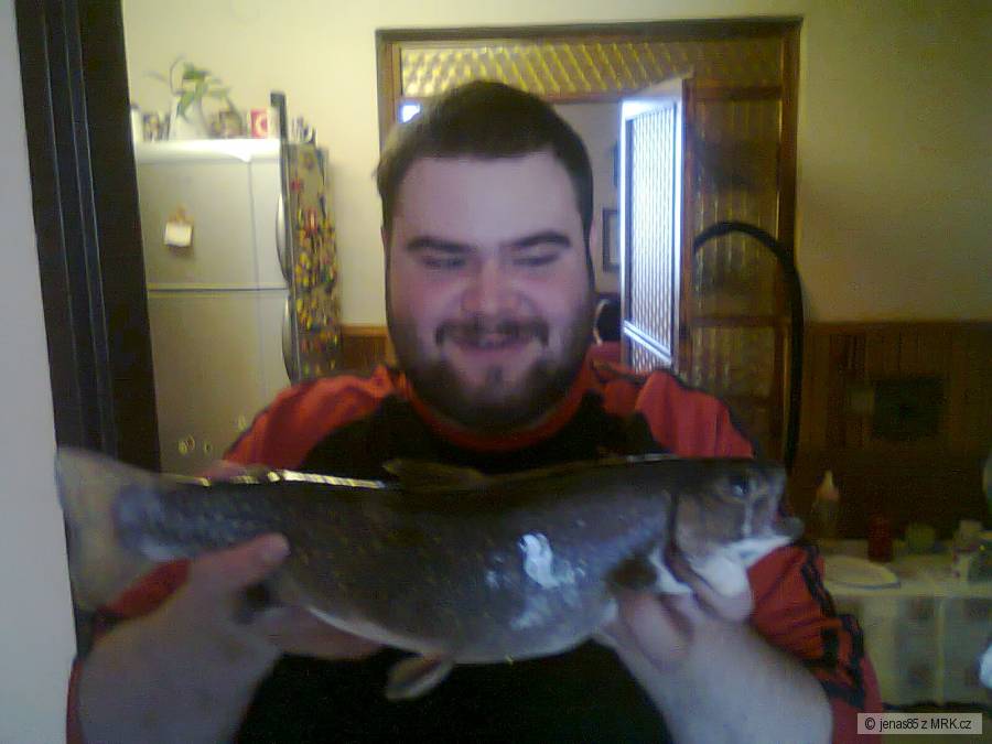 Siven