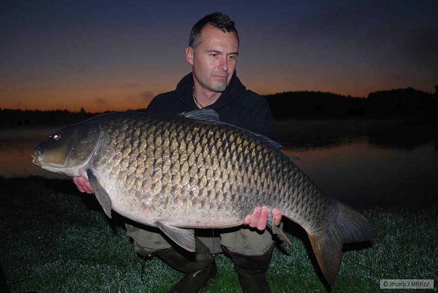 15,80 kg