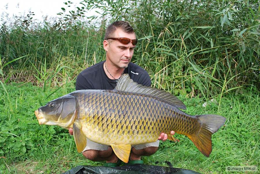 13,20 kg