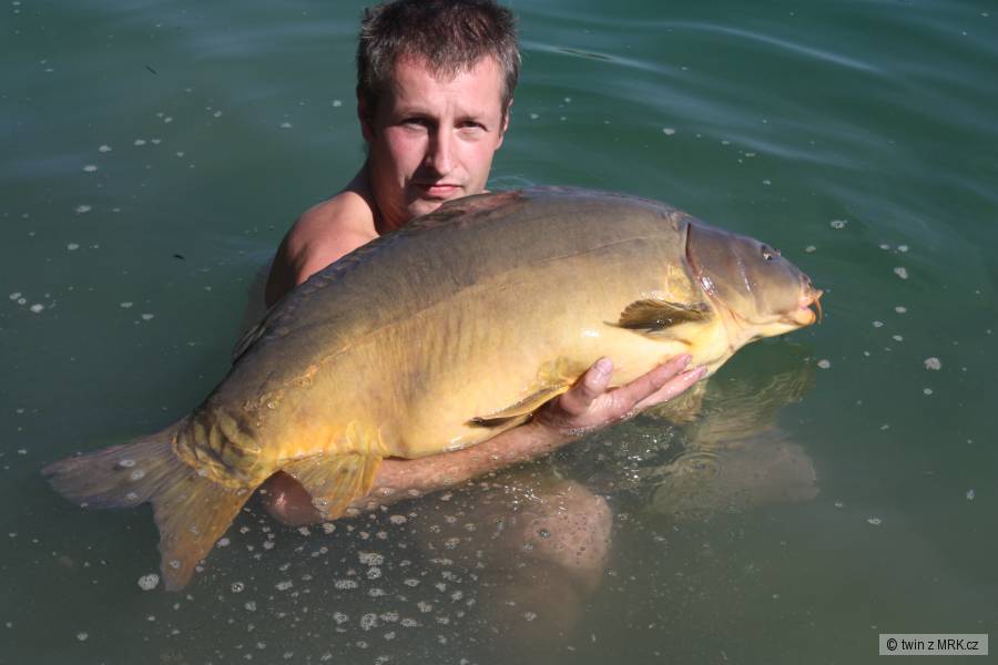 carp 13kg