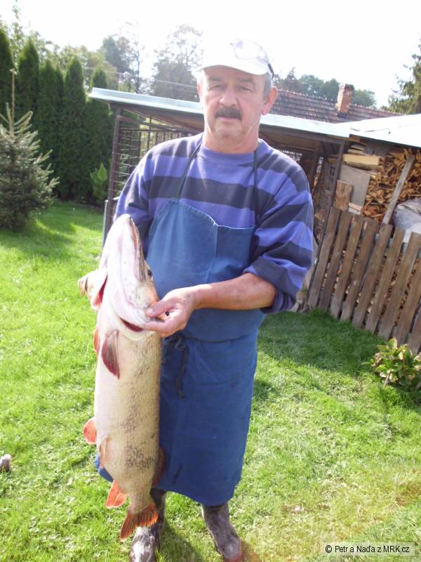�tika 109 cm 10 kg