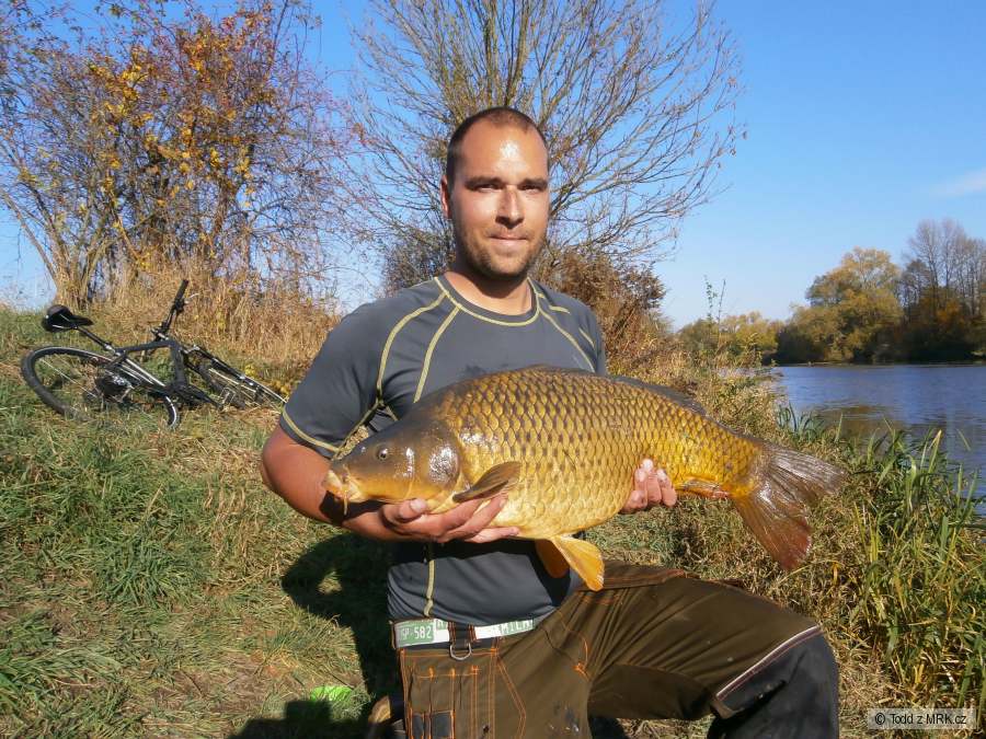 75 feeder s vlasovkou