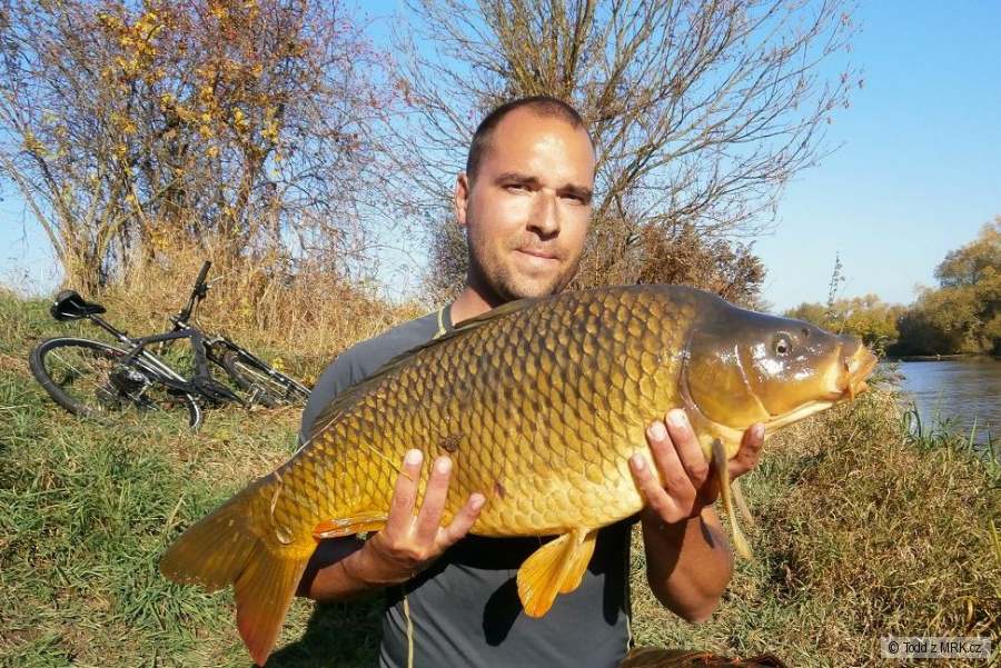 75 feeder s vlasovkou