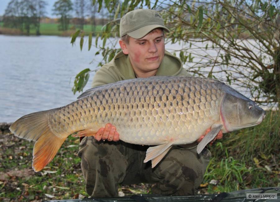 Krásný dlouhán