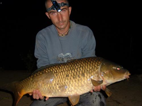 85 cm, 11 kg