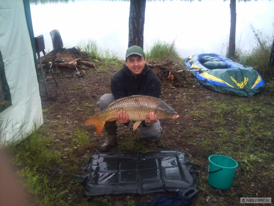 82 cm, 9,8 Kg
