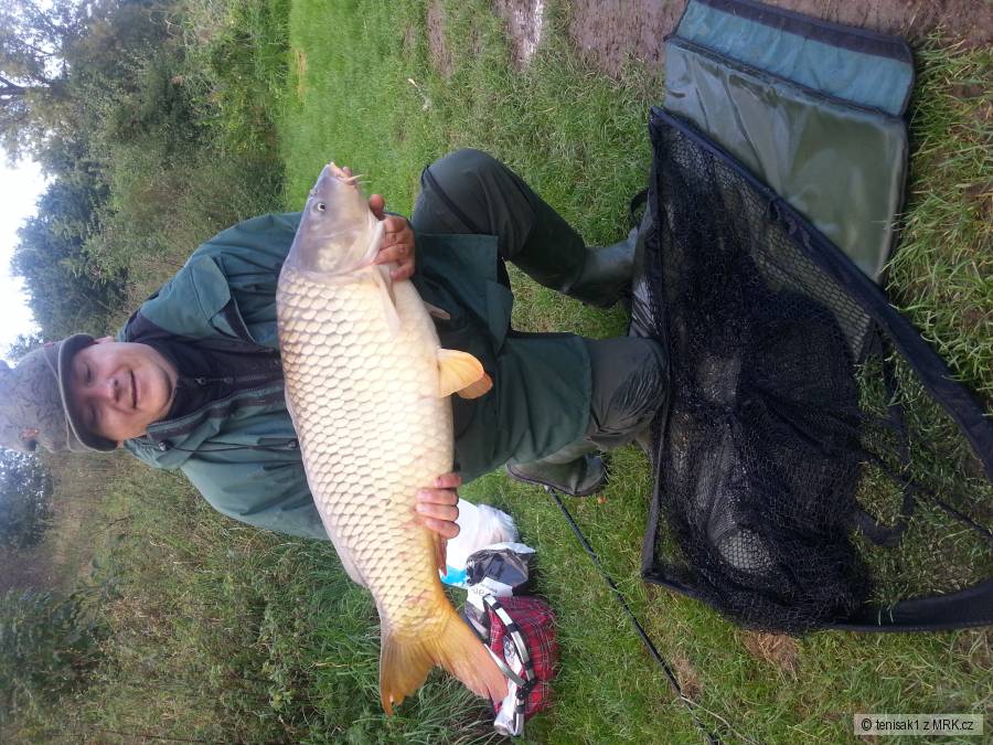 Kapr 12kg