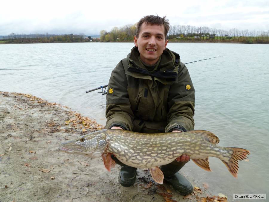 Štika 85cm 5kg