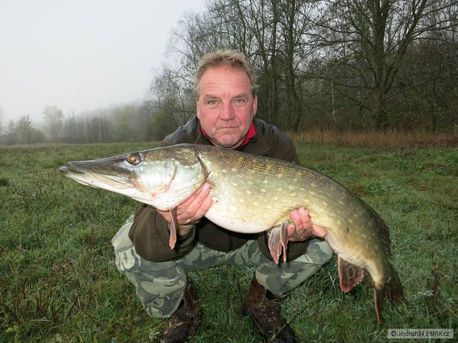 štika 90cm