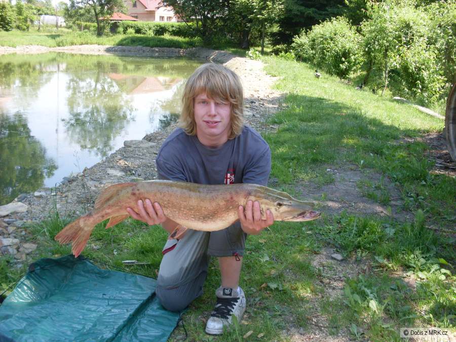 Štička, 86 cm