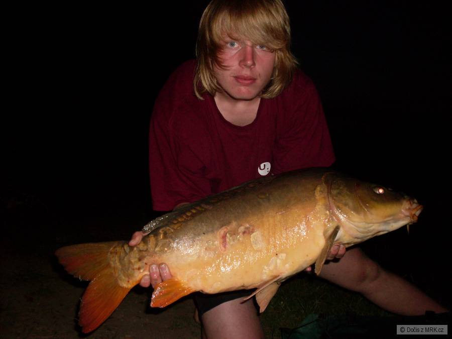 Lysec, 82 cm