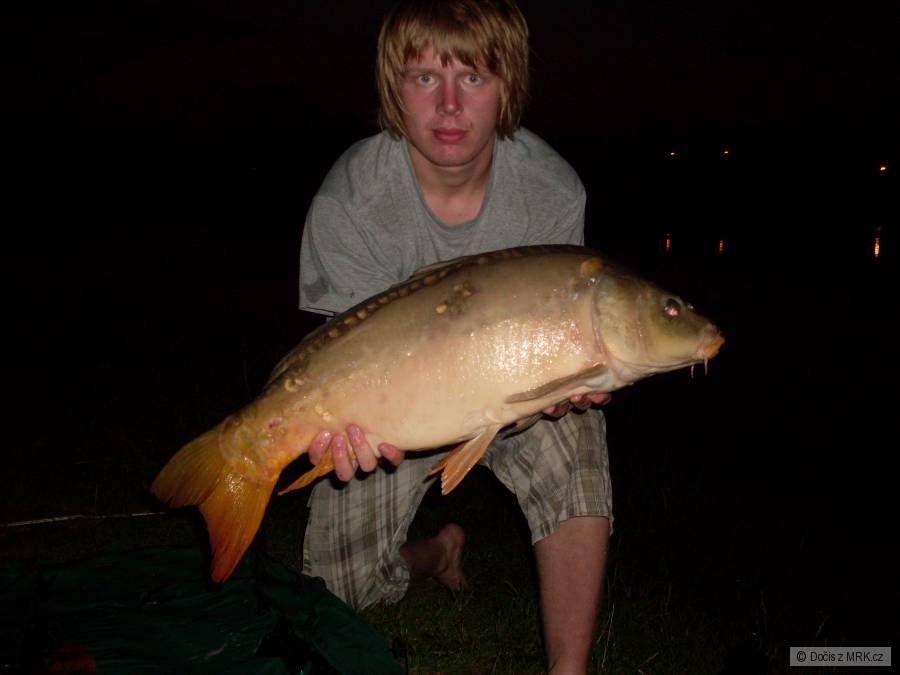 Lysec, 79 cm