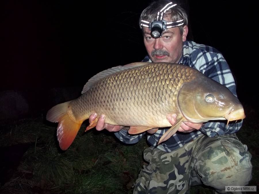 80cm 9,10kg