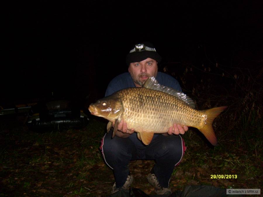 labe 29.9.2013