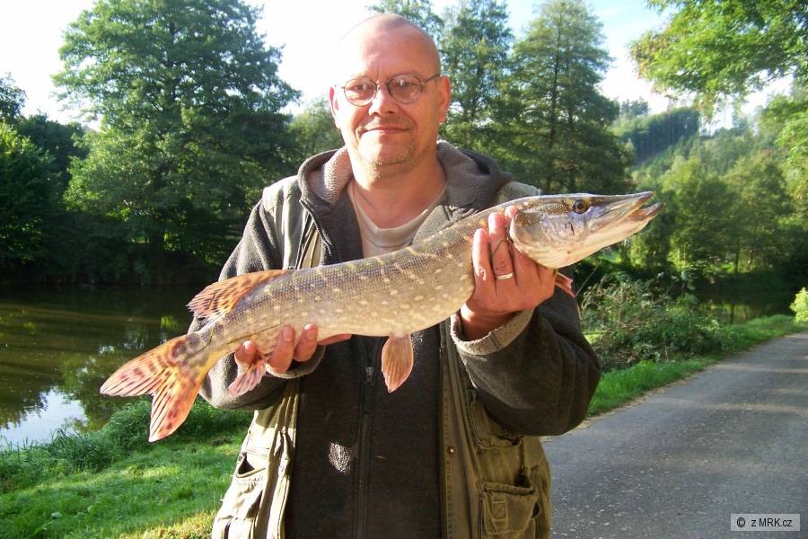 štika 79cm-Sázava