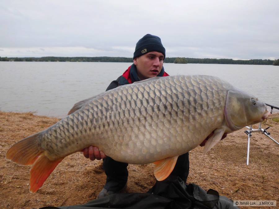 102cm 21,5kg