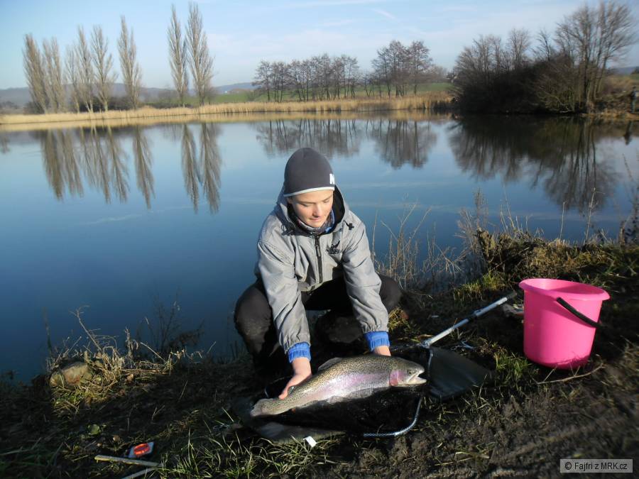 pstruh duhový - 60 cm