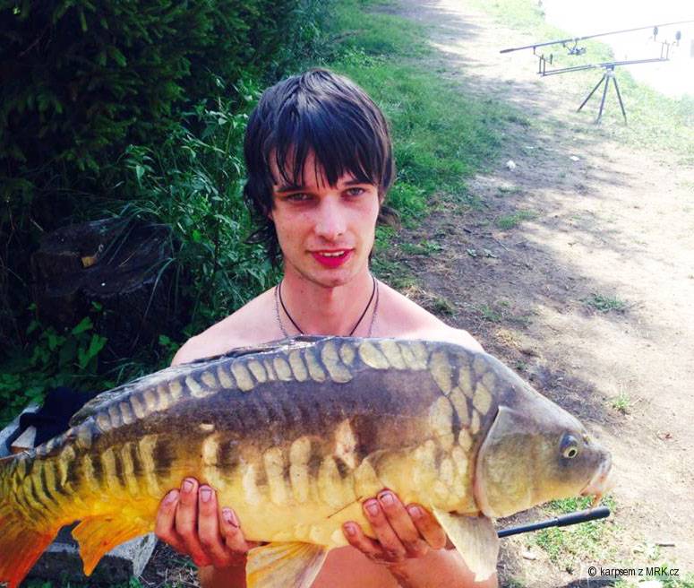řádkovej kapr 83 cm 14 kg z léta