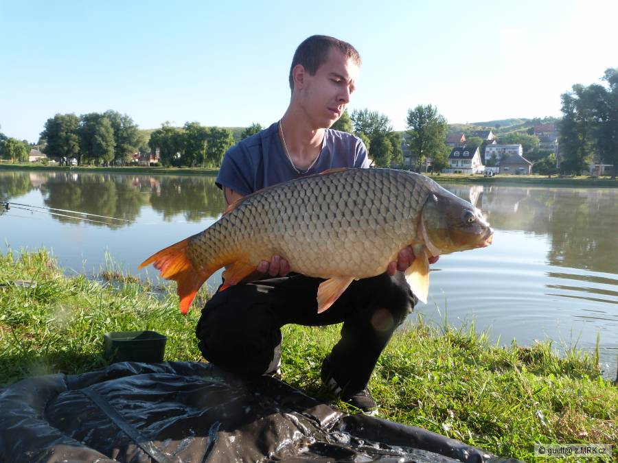 8,10kg