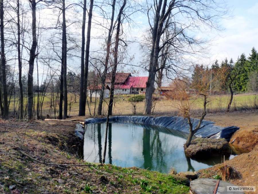 Můj rybníček