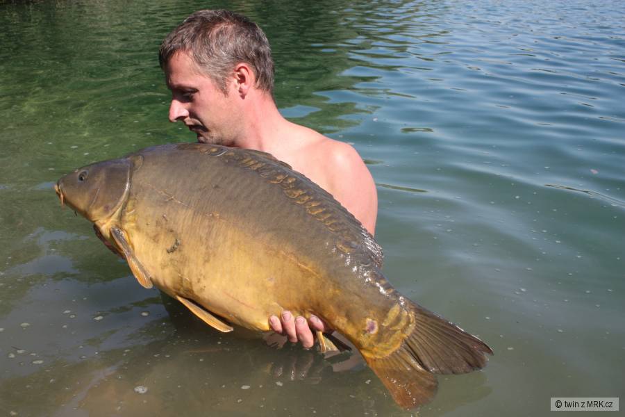 carp jezero