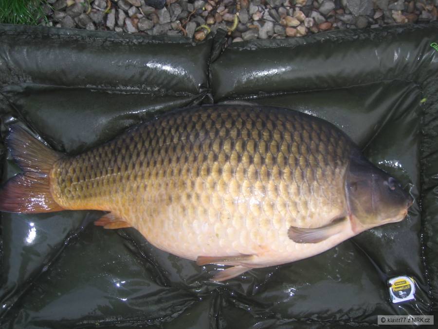 nej koule 22.50kg :-)