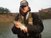 siveni z kub�ovky