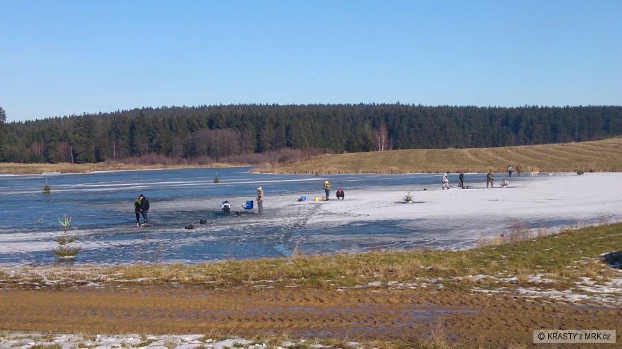 Niva sobota 8.2.2014