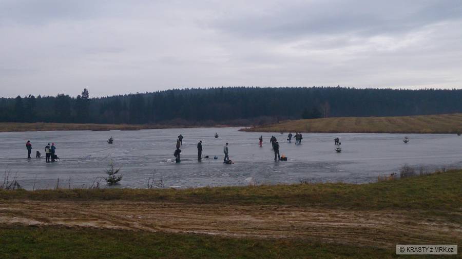 Niva neděle 9.2.2014