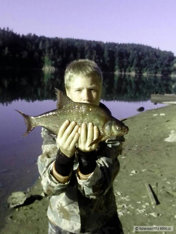 cejni na �N Orl�k 