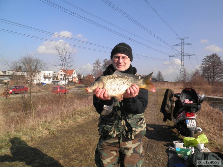 Moje první padesátka v únoru 2014