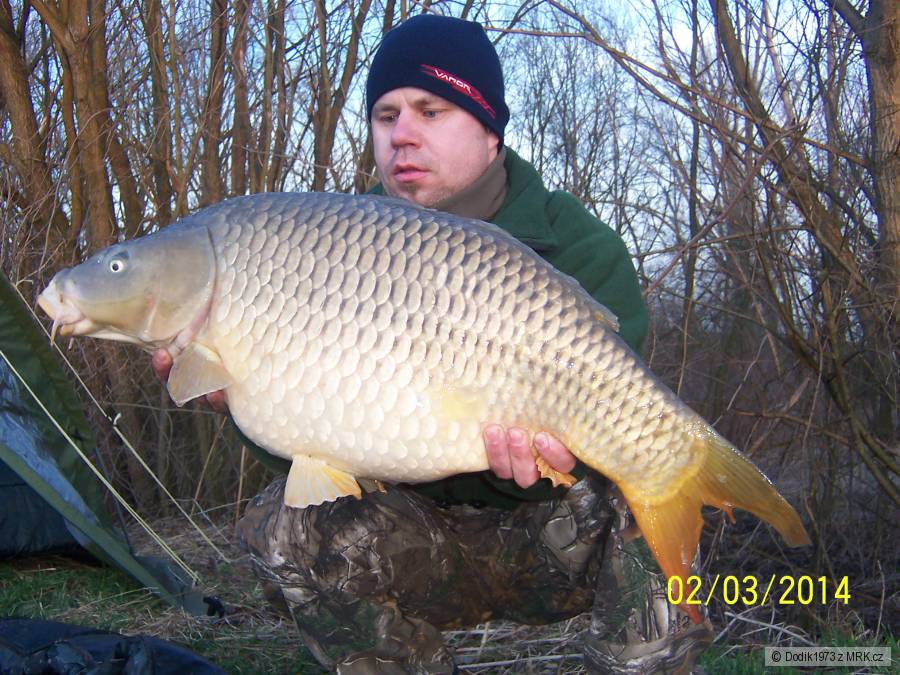 sobota večer 11kg