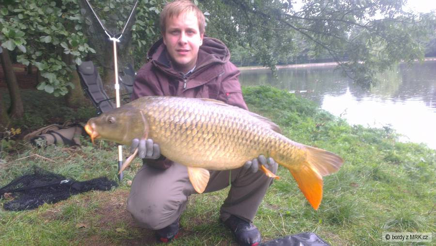 85 cm 10kg