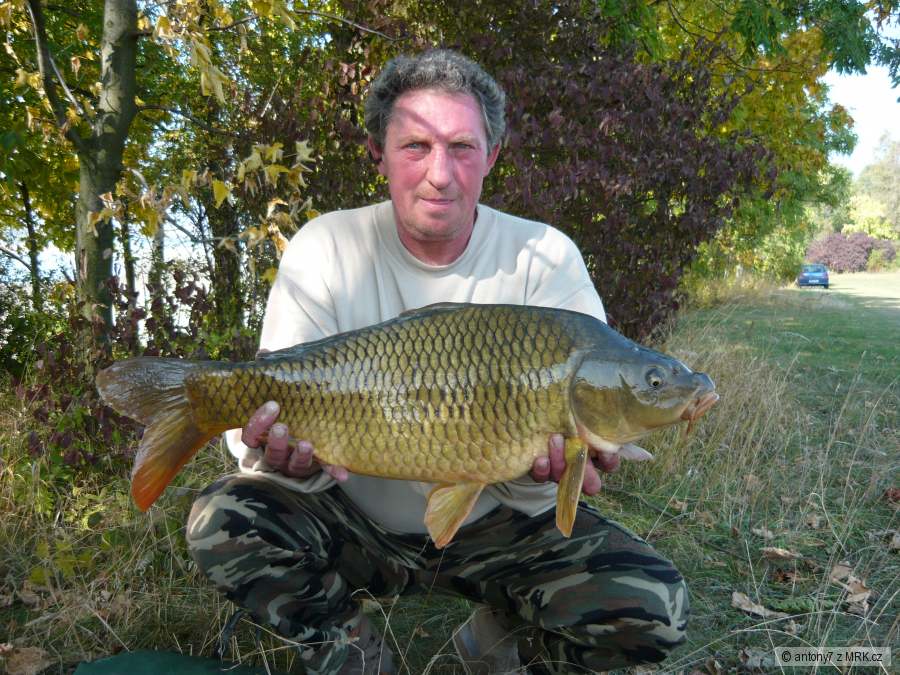 Rozkoš