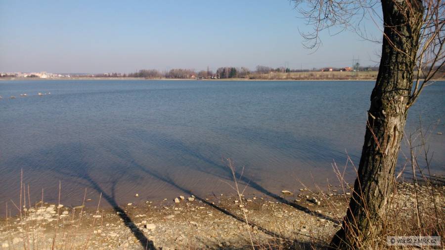 olesna