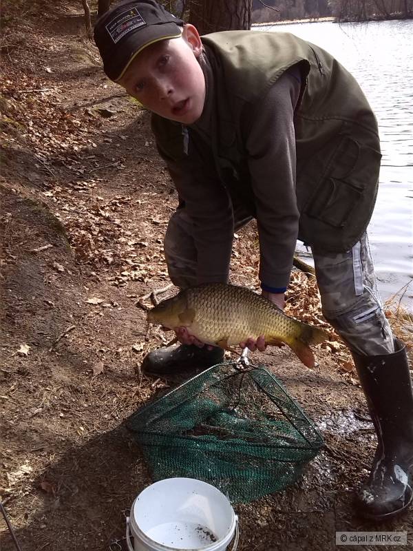 Kapr Obecn� 50 cm