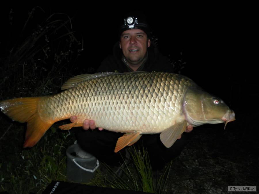 12,5 kg