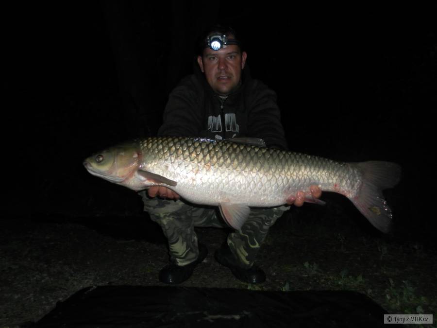 88cm, 9,2kg