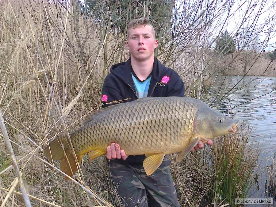 86cm 12,5 Kg