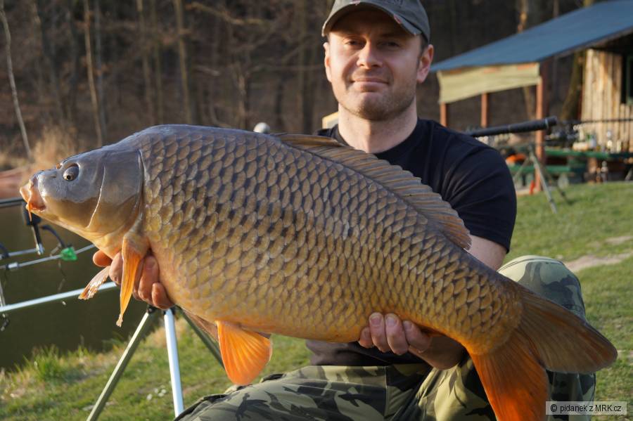 81cm a 11Kg