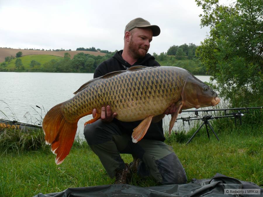 Nový Osobák ,závojnatka 22 Kg .Jižní Francie