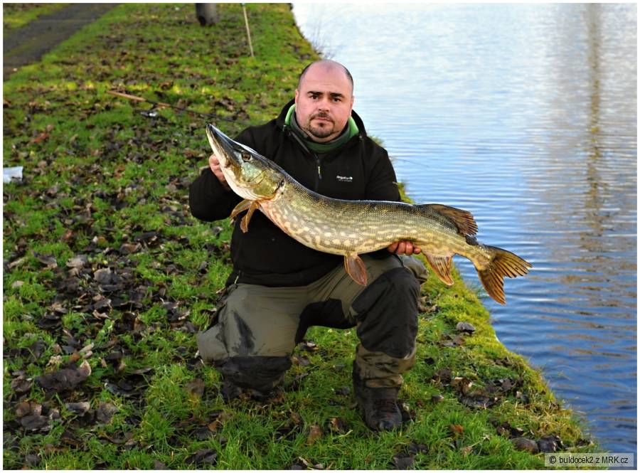 Štučka 107 cm a 11,36 kg