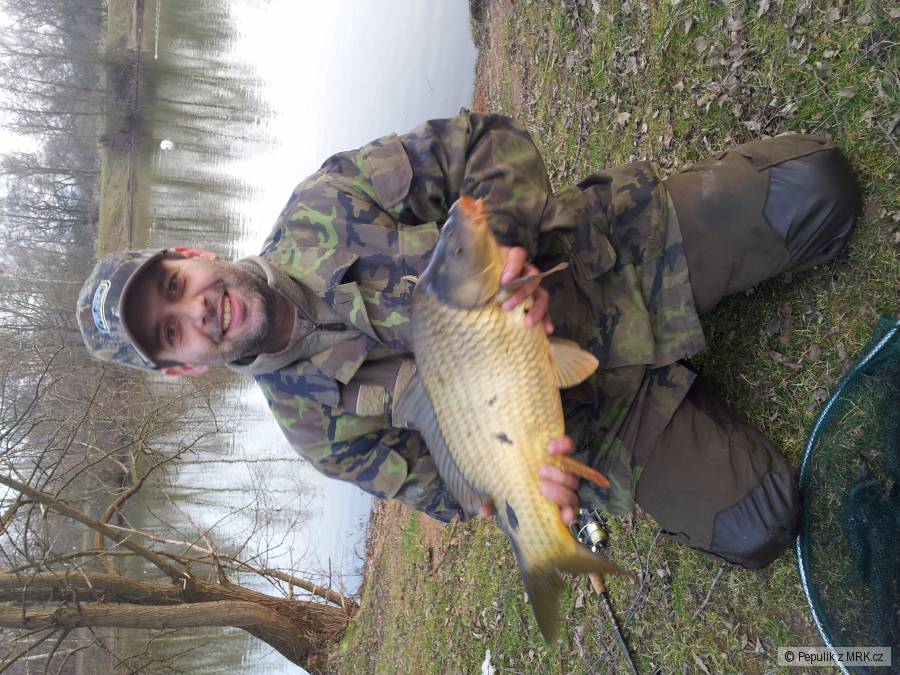 Bajkal Pardubice Kapřík 63cm