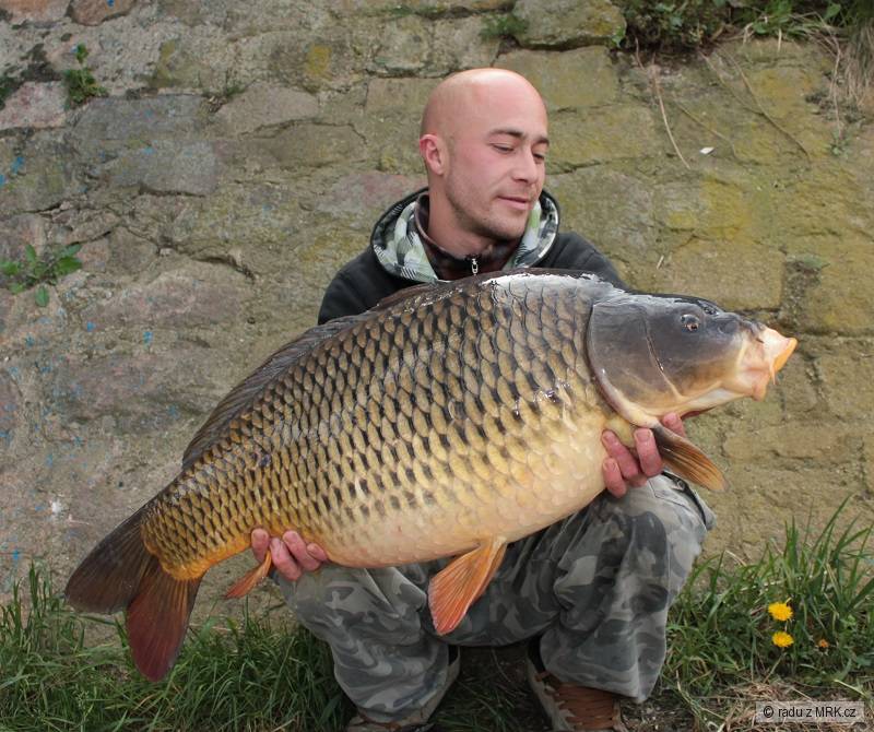 ...urban carp fishing labe...