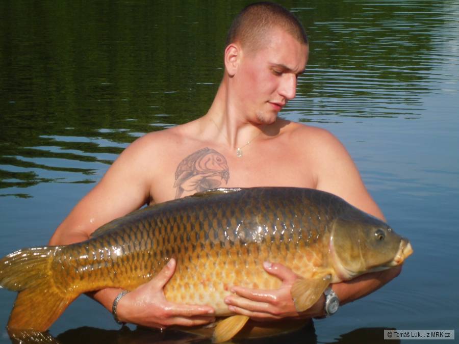 14.5kg