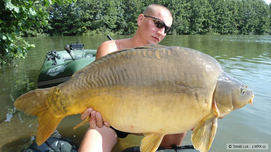 13kg