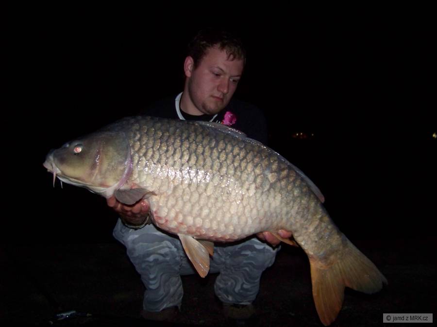D5 16,4kg 14.4
