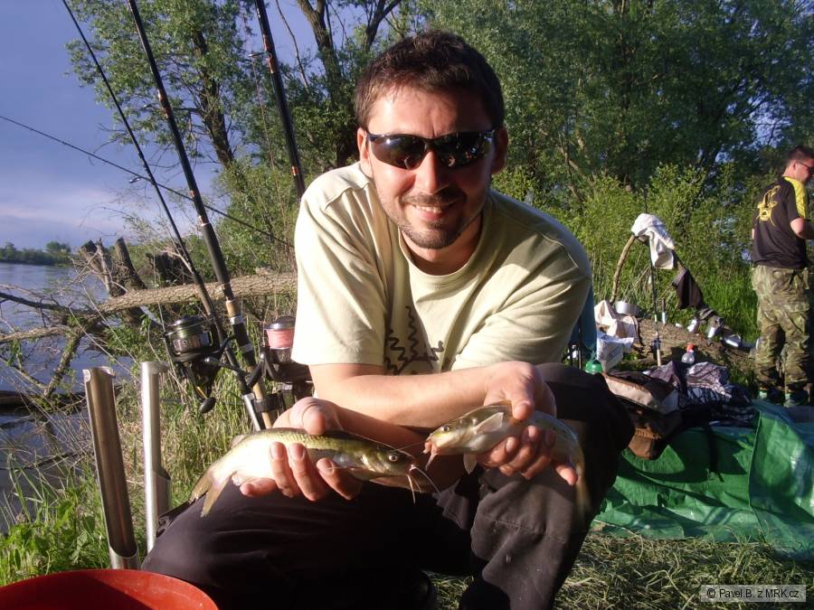 Pád 2014