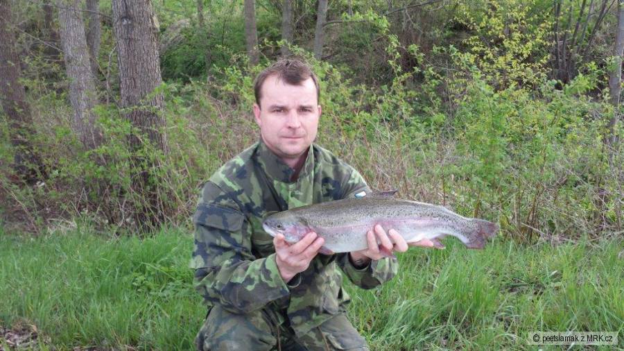 Duháč 55 cm